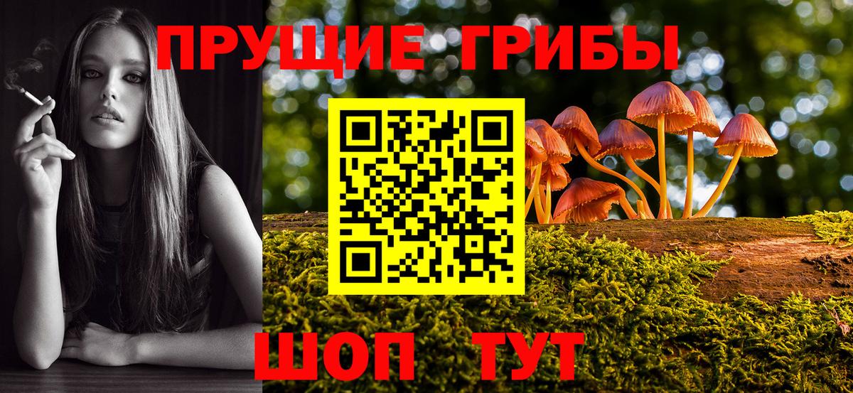Галлюциногенные грибы Cubensis  Вход с VPN  Сертолово 